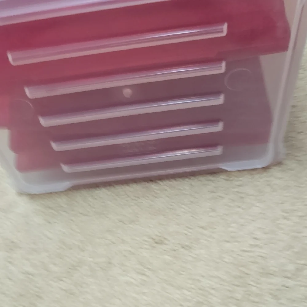 Red Storage Box With Dividers